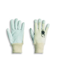 Immagine del prodotto