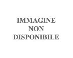 immagine non disponibile